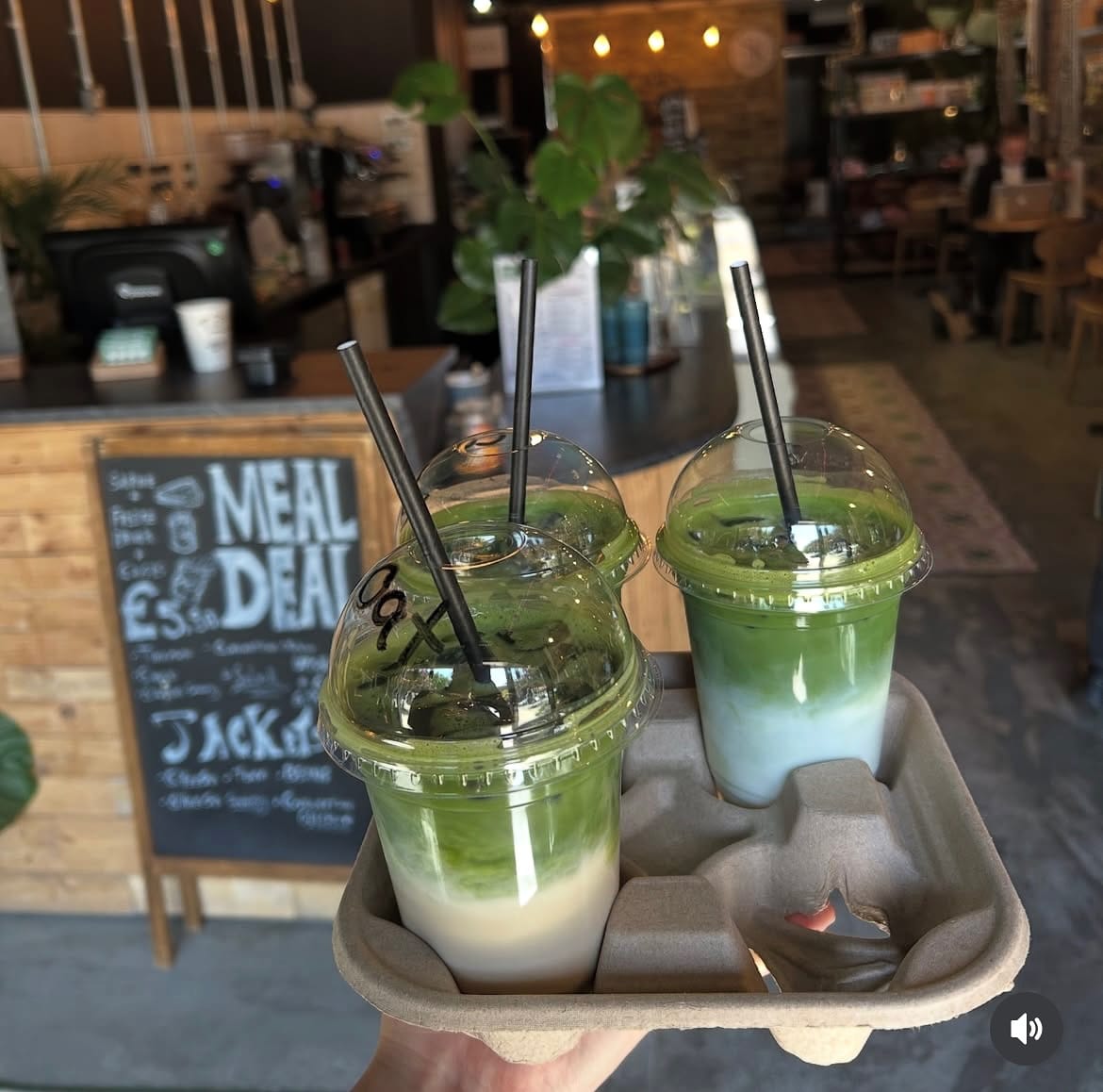Three colourful iced matcha drinks in a carrier at Steam & Bean